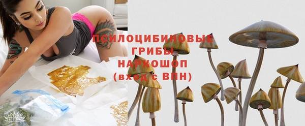 прущие крисы Верея