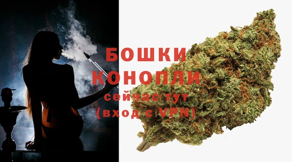 прущие крисы Верея