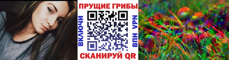 дарнет шоп  Сургут  маркетплейс какой сайт  Псилоцибиновые грибы ЛСД  mega сайт 